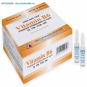 Vitamin B6 Hộp 100 Ống – Bổ Sung Vitamin B6