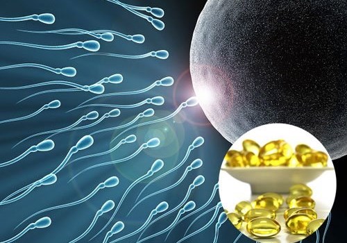 Mối liên hệ giữa Vitamin E và khả năng sinh sản 