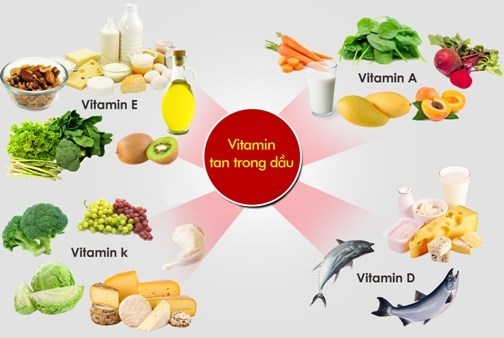 4 loại Vitamin tan trong chất béo : A, D, E, K
