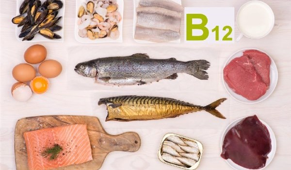 Vai trò của vitamin B12 đối với sự phát triển của cơ thể 