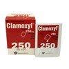 Thuốc Clamoxyl 250mg - Kháng sinh chống nhiễm khuẩn