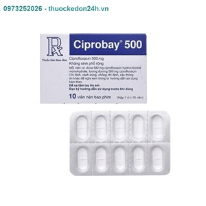Thuốc Ciprobay 500mg -  Điều trị Nhiễm khuẩn hô hấp