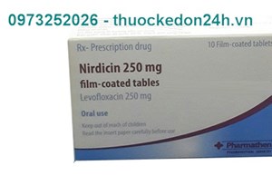 Thuốc Nirdicin 250mg - Điều trị Viêm xoang cấp tính