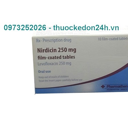 Thuốc Nirdicin 250mg - Điều trị Viêm xoang cấp tính