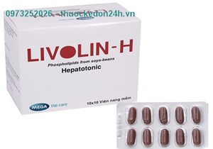  Livolin-H - Phục Hồi Chức Năng Gan