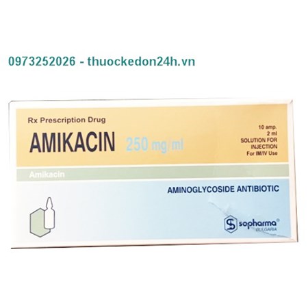 Thuốc Amikacin 250mg/ml - điều trị Nhiễm khuẩn