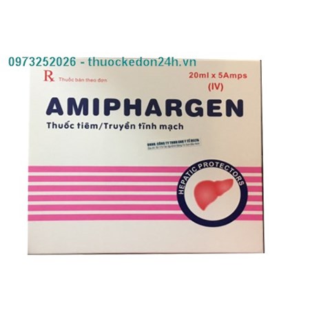 Thuốc Amiphargen- Phục Hồi Chức Năng Gan