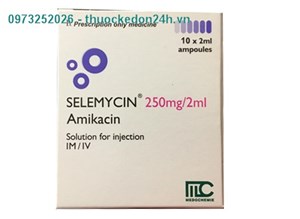 Thuốc Selemycin 250mg/2ml - Điều trị nhiễm khuẩn 