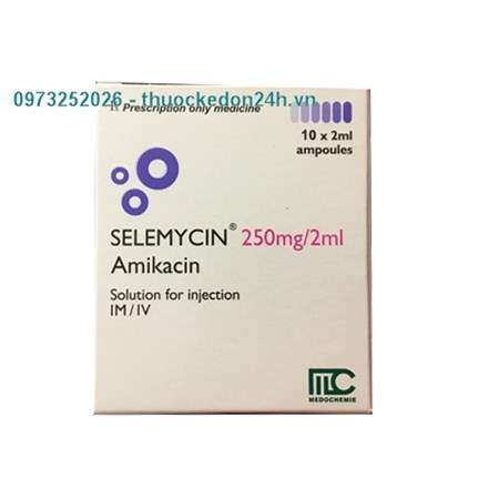Thuốc Selemycin 250mg/2ml - Điều trị nhiễm khuẩn 