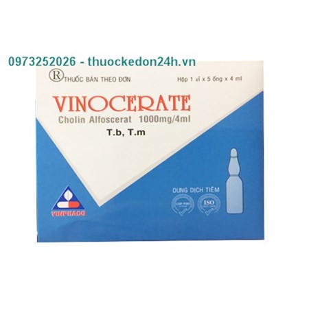 Thuốc Vinocerate - Phục hồi chức năng sau đột quỵ