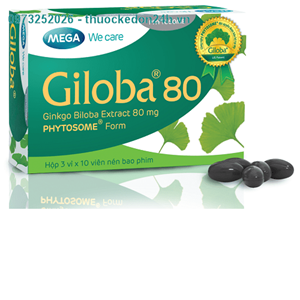 Thuốc Giloba 80mg