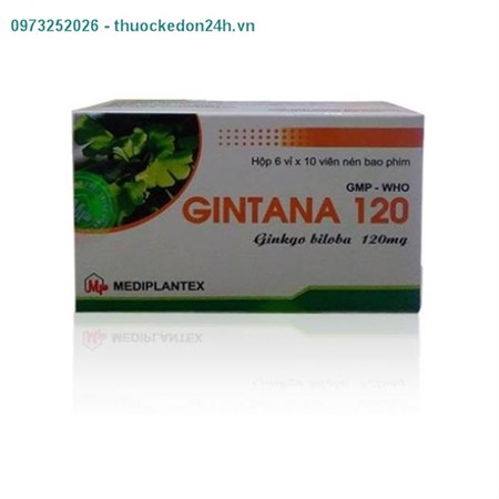Thuốc Gintana 120mg