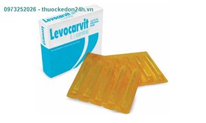 Thuốc Levocarvit – Dung dịch uống