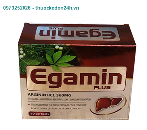 Egamin Plus – Thực Phẩm Bảo vệ sức khỏe