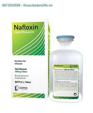 Nafloxin 400mg/200ml – thuốc điều trị nhiễm khuẩn