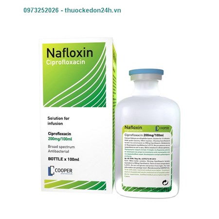 Nafloxin 400mg/200ml – thuốc điều trị nhiễm khuẩn