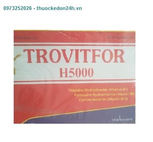 Thuốc tiêm Trovitfor H5000 – Bổ sung các vitamin