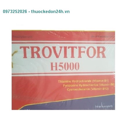 Thuốc tiêm Trovitfor H5000 – Bổ sung các vitamin
