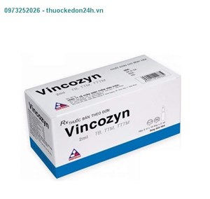  Thuốc tiêm Vincozyn 2 ml – Bổ sung vitamin nhóm B