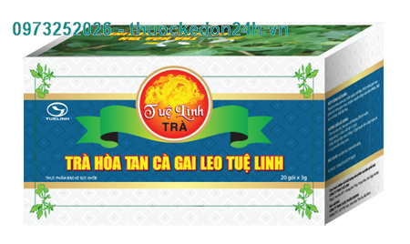 Trà Hòa Tan Cà Gai Leo Tuệ Linh