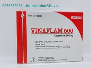  Vinaflam 500- Kháng Sinh Diệt Khuẩn