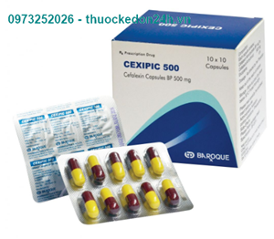 Cexipic 500 - Kháng sinh điều trị nhiễm khuẩn