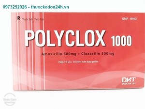 Polyclox 1000