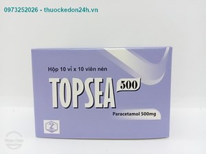 TOPSEA 500