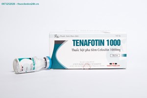 Thuốc Tenafotin 1000