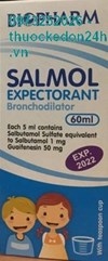 Thuốc Salmol Expectorant - giảm ho long đờm 
