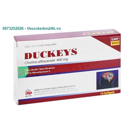 Duckeys - Tuần Hoàn Não