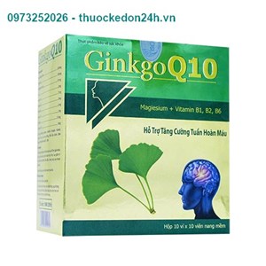 Ginkgo Q10 – Hỗ Trợ Tăng Cường Tuần Hoàn Máu