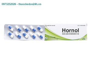 Hornol – Điều trị các bệnh về xương khớp – Hộp 30 viên