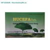 Hucefa 80Mg – tăng cường tuần hoàn não,tăng cường trí nhớ