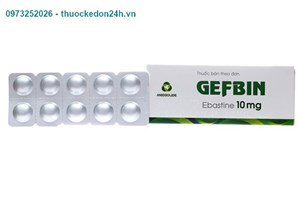 Thuốc Gefbin 10 mg – Điều trị viêm mũi dị ứng, mề đay