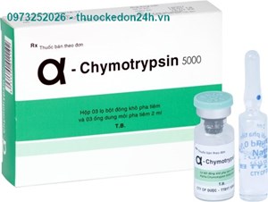 Thuốc A - Chymotrypsin 5000 Bidiphar - Chống viêm