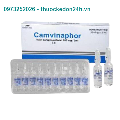 Thuốc Camvinaphor(I)