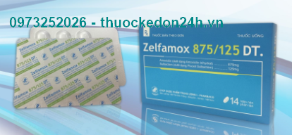 Zelfamox 875/125 DT