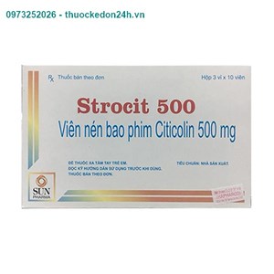 Thuốc Strocit 500mg - Bệnh Não Cấp Tính: Tai Biến Mạch Não Cấp Tính