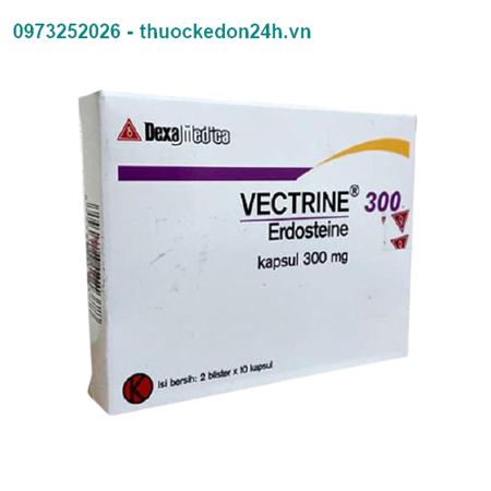 Thuốc Vectrine 300 – Thuốc Điều Trị Đợt Cấp Hen Phế Quản Mạn Tính
