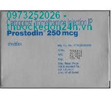 Prostodin 250 Mcg/Ml | Thuockedon24h.vn
