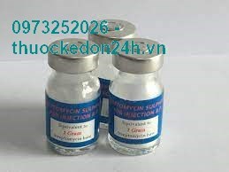 Thuốc Streptomycin Sulphate For Injection BP 1g