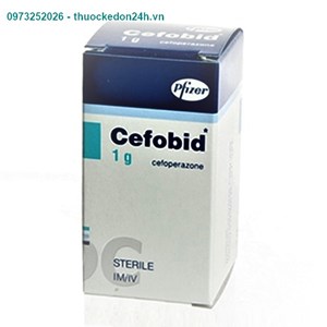 Thuốc Cefobid 1g - Điều trị nhiễm khuẩn hiệu quả