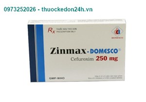 Zinmax - Domesco 250mg - Kháng sinh điều trị nhiễm khuẩn 