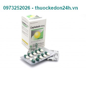 Thuốc Cephalexin 250mg Vidipha - Kháng sinh điều trị nhiễm khuẩn