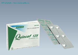 Thuốc Quincef 125mg - Kháng sinh điều trị nhiễm khuẩn 