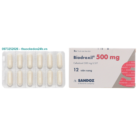 Thuốc Biodroxyl 500mg - Kháng sinh điều trị nhiễm khuẩn