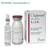 Thuốc Tiêm Claforan 1g - Kháng sinh điều trị nhiễm khuẩn