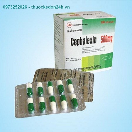 Thuốc Cefalexin 500 VN - Kháng sinh điều trị nhiễm khuẩn