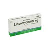 Lincomycin Tiêm TQ - Kháng sinh điều trị nhiễm khuẩn 